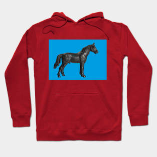 PLASTIC FANTASTIC: Horse Hoodie